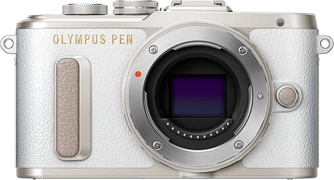 olympus mirrorless camera details